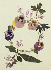 Pressed flowers