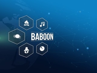 Baboon