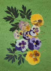 Pressed flowers