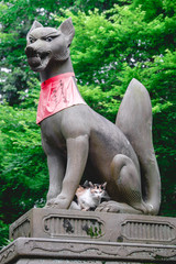 Cat and Fox (kitsune) stone statue and trees at Fushimi Inari taisha shrine, Kyoto