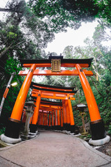 Fototapeta na wymiar Torii gates path and forest at Fushimi Inari taisha shrine, Kyoto