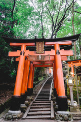 Torii gates path, forest and stairs at Fushimi Inari taisha shrine, Kyoto