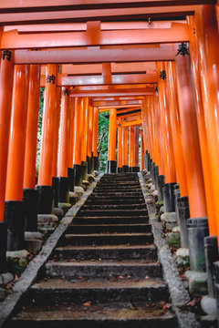 Torii gates path and stairs at Fushimi Inari taisha shrine, Kyoto © Samuel Ponce