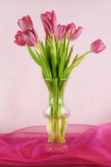 Pink tulips arranged in a clear vase isolated on a pink background