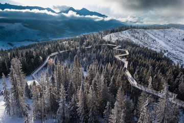 Trail in the trees in Slovakia High Tatra