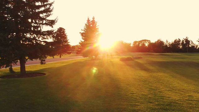 Moving through short grass to the evening sun. Bright sunshine rays.