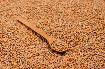 Dry groats for vegans in a wooden spoon on a background of buckwheat.