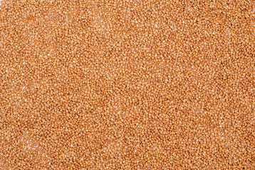 Dry buckwheat groats for vegans in the form of a background.