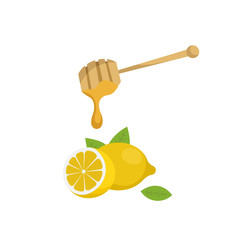 Honey dripping from honey stick on a lemon. Vector illustration isolated on white background