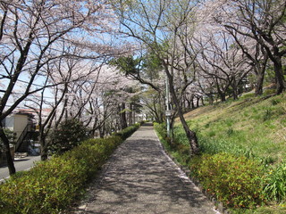 鶴川　公園