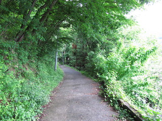 登山道