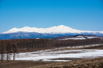 Fototapeta na wymiar 雪が残る畑作地帯と雪山　大雪山