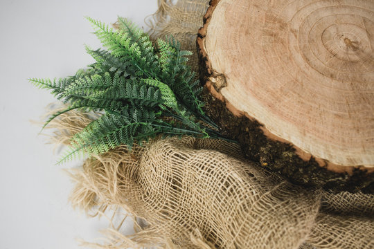 Tree log close up composition on a light background. Mockup detail with a tree log, a rustic fabric and a green plant. Wooden texture. Isolated background. Top view.