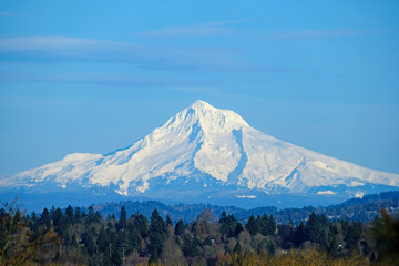 Mt hood Portland Oregon  - obrazy, fototapety, plakaty