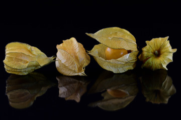 Four fruits of the physalis lie side by side against a dark background and are reflected on the floor
