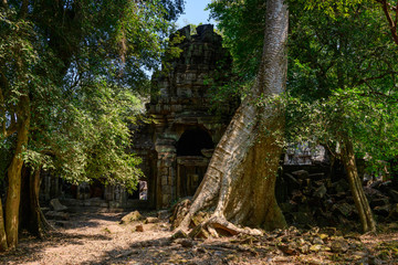 La porte sud et une arbre g&eacute;ant du temple Preah Khan dans le domaine des temples de Angkor, au Cambodge