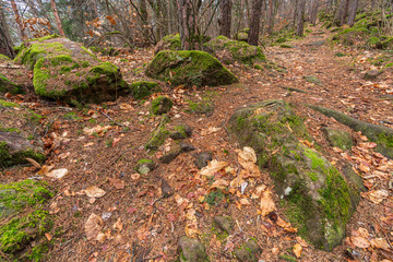 Ice holes in Eppan an der Weinstrasse in South Tyrol in Italy.