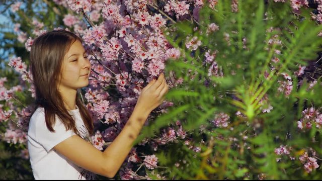Girl Studies Examines, sniffs Flowers  Pink Almond tree and enjoys life Teenager on a spring background Sonchus Canariensis Boulos in the foreground with Red Blooming Buds shot URSA 4.6K