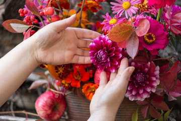 Female florist hands making bouquet. Red pink orange flowers in bouquet