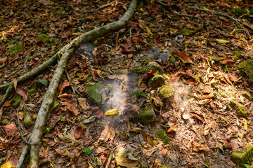 Une toile d'araignée du temple Preah Khan dans le domaine des temples de Angkor, au Cambodge