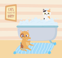 cats make me happy, cat in and kitten in bathtub washing