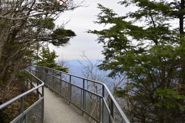 mountain walkway