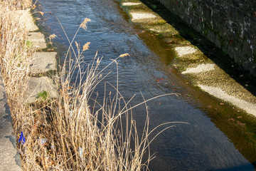A Man Made Concrete Creek With Long Dead Yellow Grass Next To It