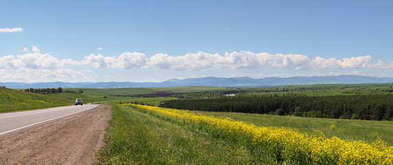 Panoramic view of a meadow blooming with yellow flowers. Country road. Green hills and blue sky, daylight. Spring background.