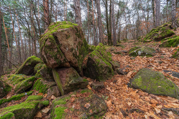 Ice holes in Eppan an der Weinstrasse in South Tyrol in Italy.