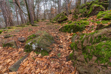 Ice holes in Eppan an der Weinstrasse in South Tyrol in Italy.