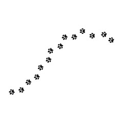 Paw print trail on white background. vector illustration