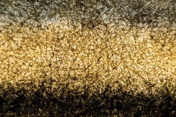 Abstract texture and background