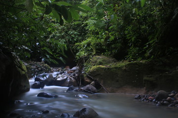 A long exposure of a tropical stream showing the green plants and rocks in the amazon rainforest