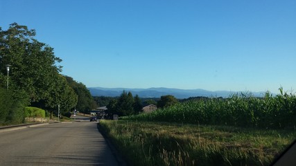 Spring in germany, a typical view around the villages with mais or corn next to the road