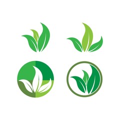 Green leaf logo