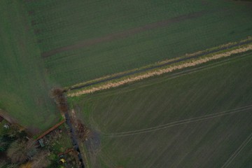 aerial view of an empty meadow with visible tracks from the tractor and a small hedge of reeds in...