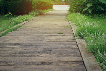 concrete brick pathway in green natural park