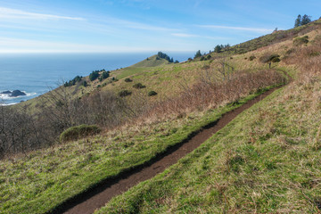 The Oregon Coast as Seen from Cascade Head Preserve
