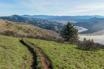 The Oregon Coast as Seen from Cascade Head Preserve