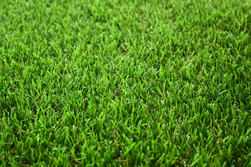 green grass turf floor artificial
