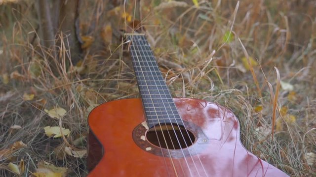 Artistic Picture of the Guitar in the Grass. Wooden acoustic guitar lying in the foreground in a green grassy field