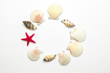 Summer sale. Living Coral color seashells, red starfish in shape frame isolated on white background. Hello Summer is coming concept