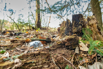 Plastic bottle waste in a forest, a big environmental problem, keep it in mind.
