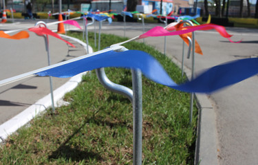 colorful flags on the lawn adorn the Park