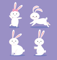 group of cute rabbits icons vector illustration design