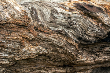 Wood Grain with Natural Pattern