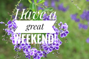 Greeting card - Have a great weekend. With beautiful purple flowers background. Nice weekend concept. - obrazy, fototapety, plakaty