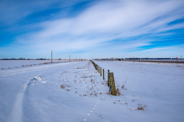 Barbed wire fence on the prairies