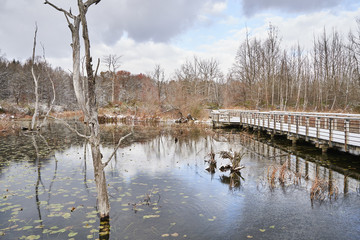 A cold, winter day in Cuyahoga Valley National Park, at Beaver Marsh. Snow is on the boardwalk, and it is mostly cloudy.