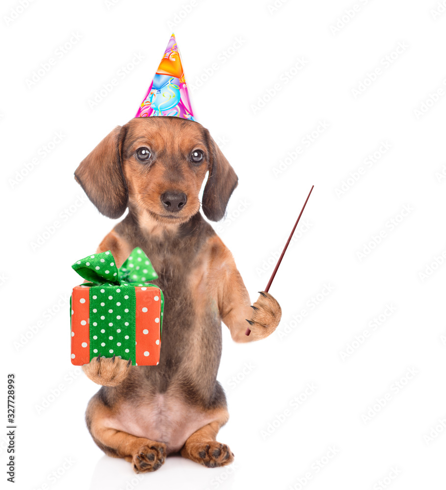 Poster dachshund puppy wearing a party hat holds gift box and points away on empty space. isolated on white